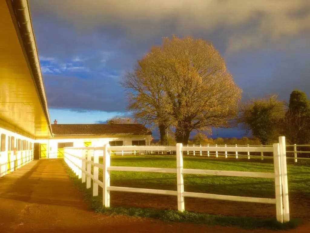 Le Haras du Favry - Photo 4