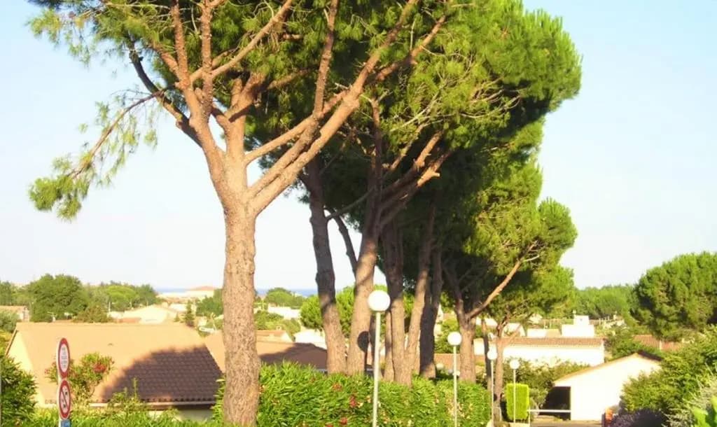 Maison de 2 chambres a Vendres a 800 m de la plage avec piscine partagee jardin amenage et wifi - Photo 1