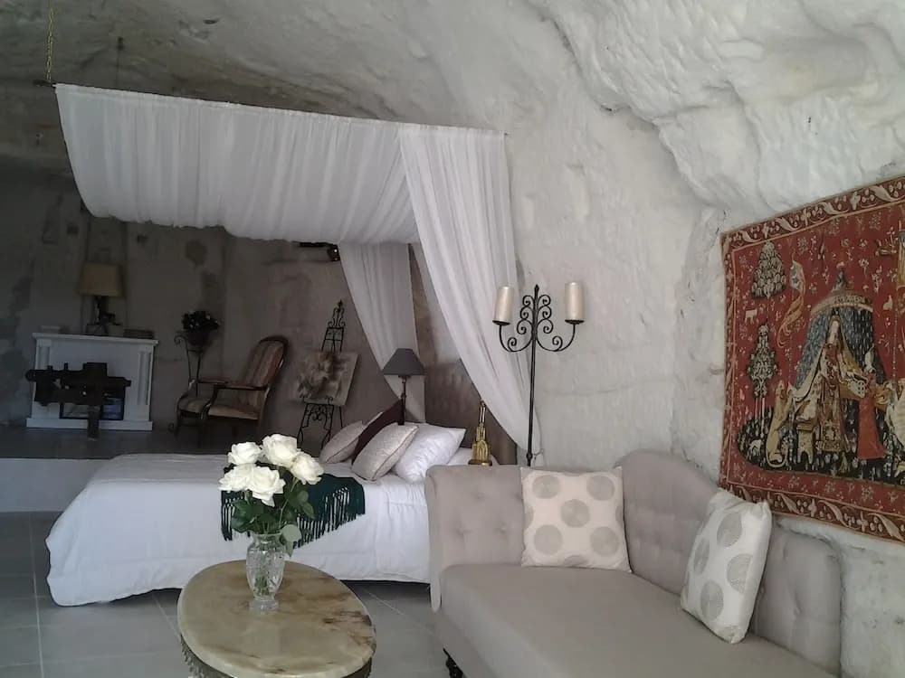 Manoir des Roches 41 - Photo 5