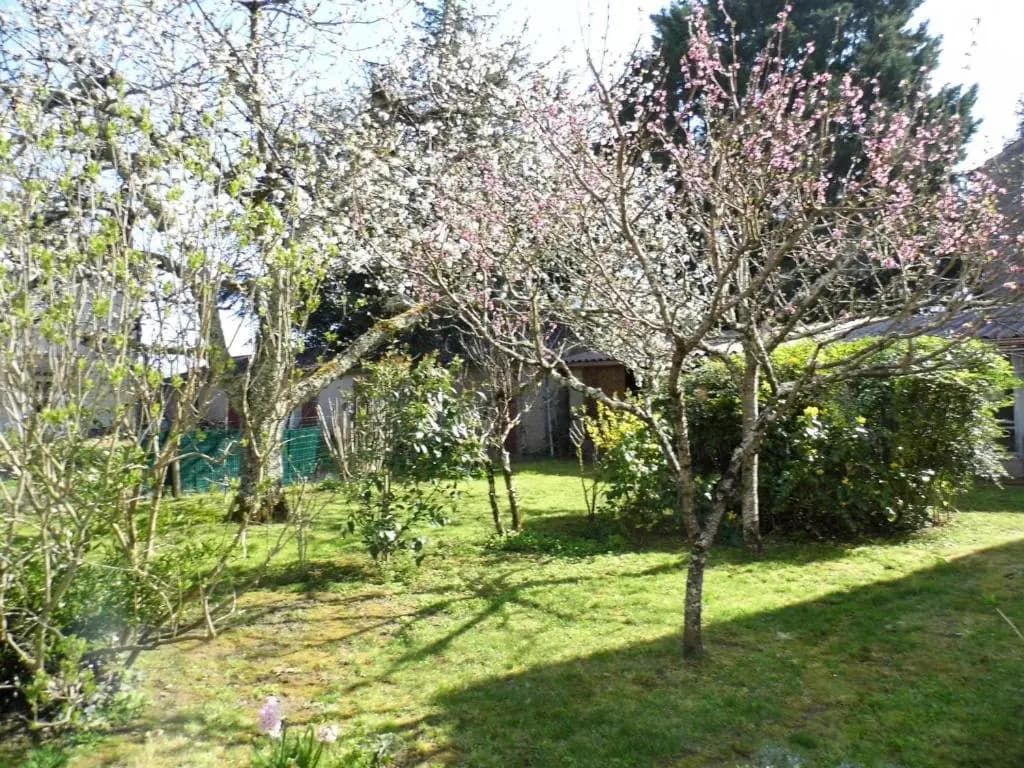Gîte Le Buisson-de-Cadouin, 3 pièces, 4 personnes - FR-1-616-42 - Miniature 6