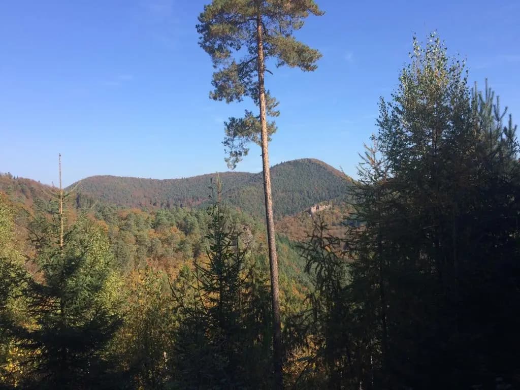 Un gîte dans la vallée - Photo 3
