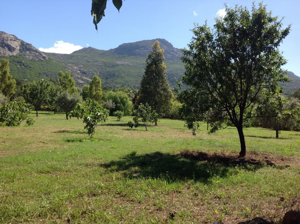 Casa Di Floumy - Photo 3