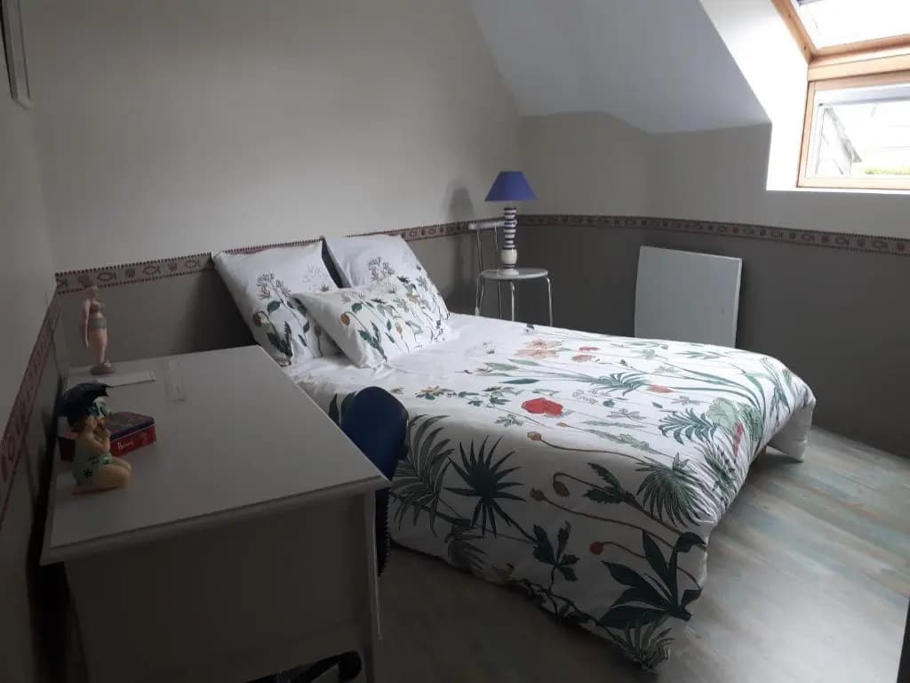 macareux - Photo 3