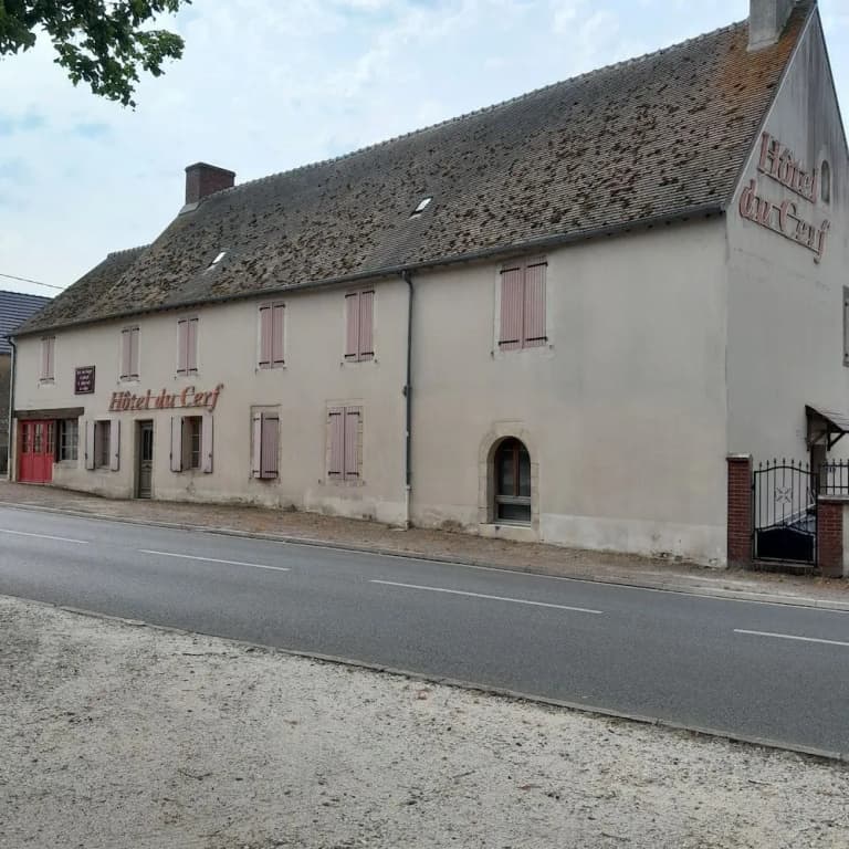 Hôtel du Cerf - Photo 1