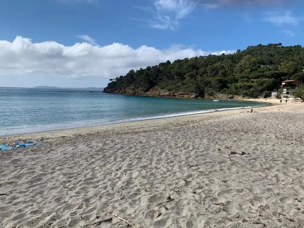 Studio/jardin/piscine/plage Le Lavandou Pramousquier - Photo 3