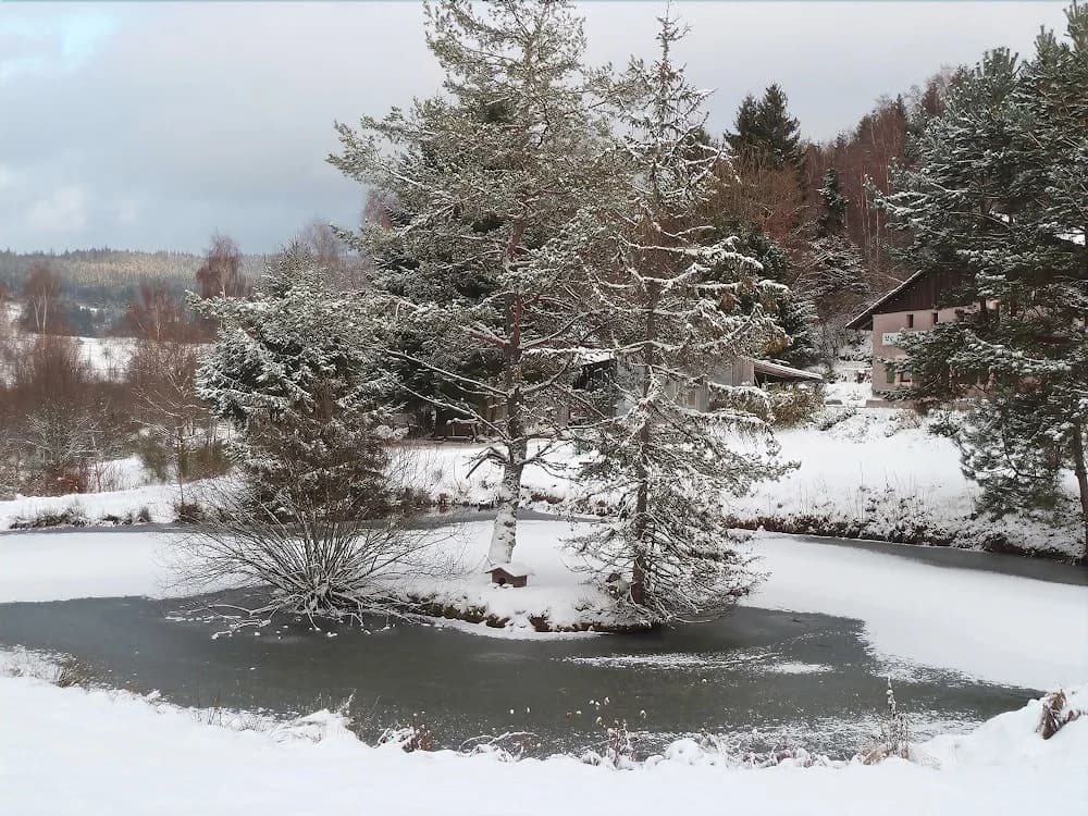 Chalet du Feignolé - Miniature 8
