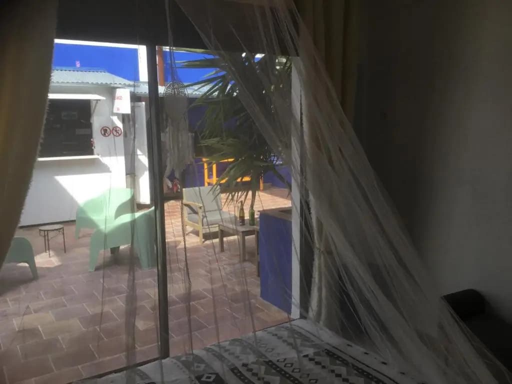 Casa Léon - Miniature 7