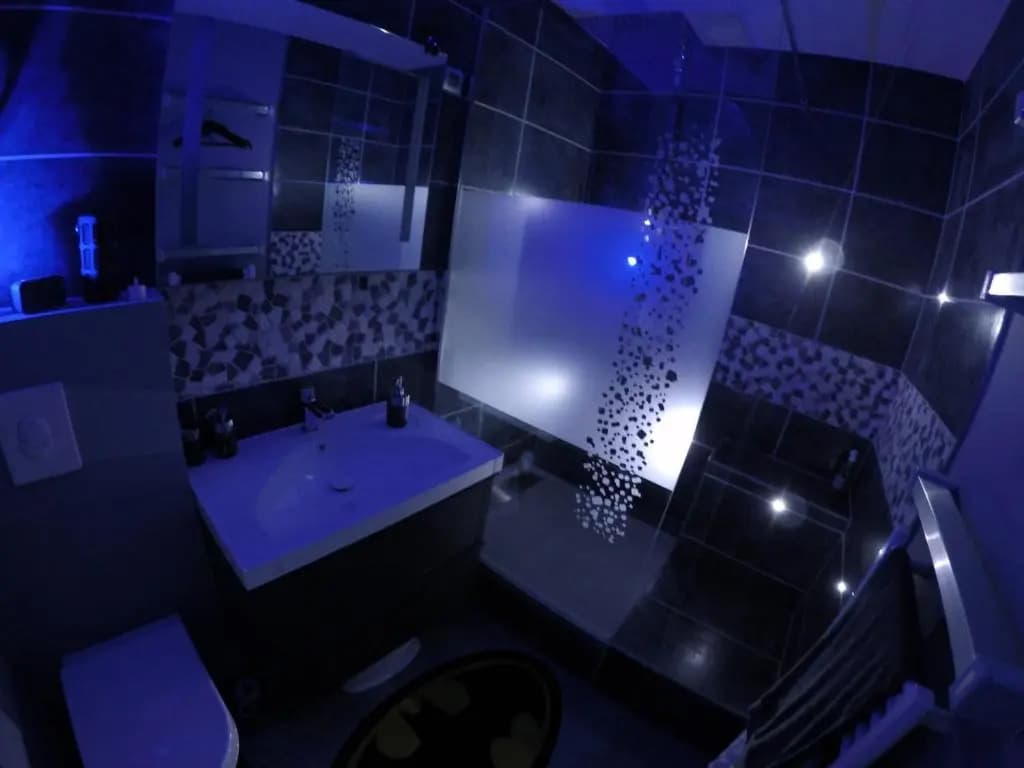 DISNEYLAND-PARIS aux portes de la Batcave - Photo 3