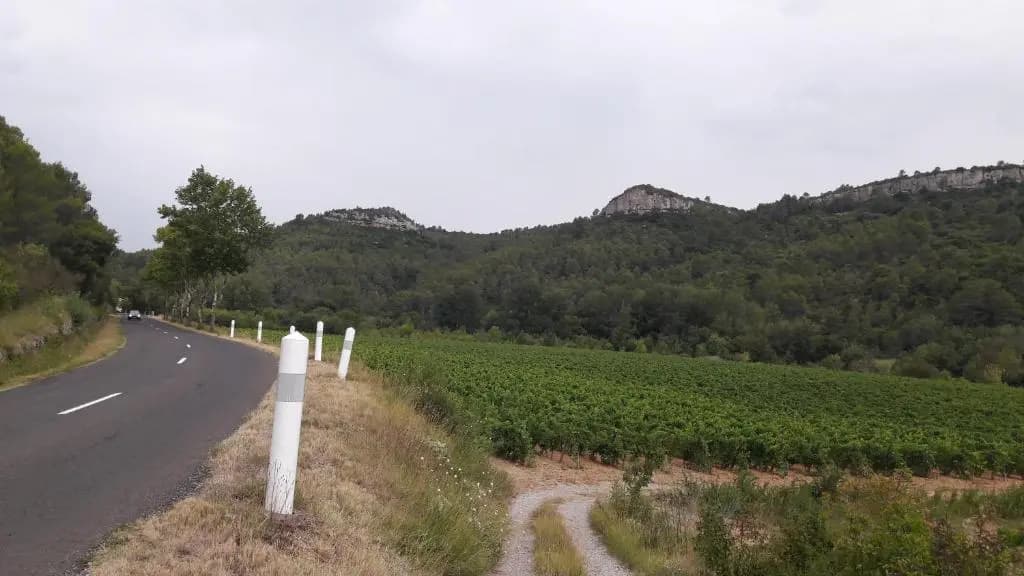 le clos des Vins d'anges - Photo 3