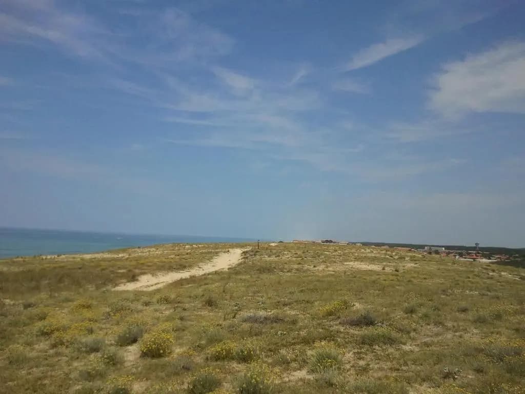 La Pinède Océane,400m des plages - Miniature 7