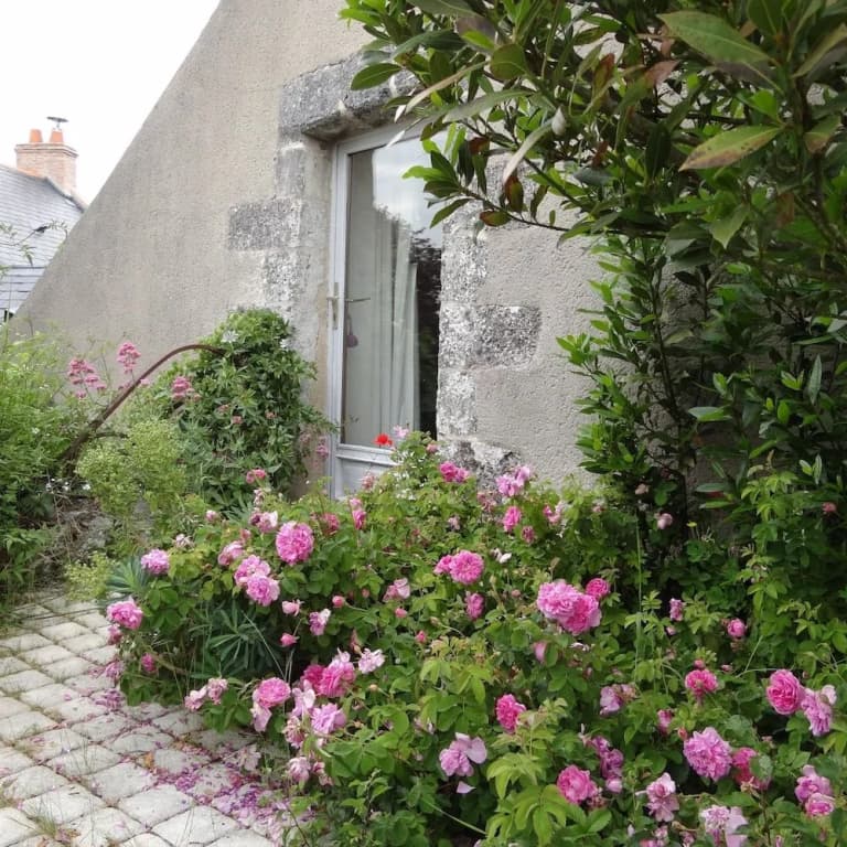 Le Moulin Géant - Photo 1