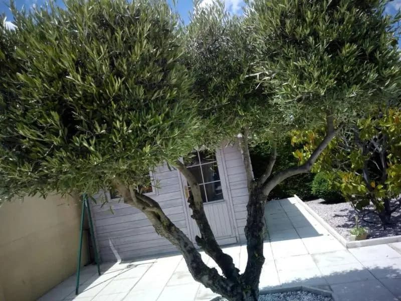 Villa Manet Portiragnes - Photo 1