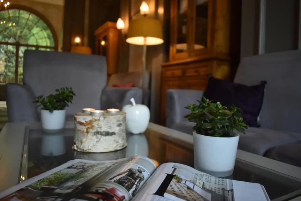 Domaine de Joinville & Spa - Miniature 6