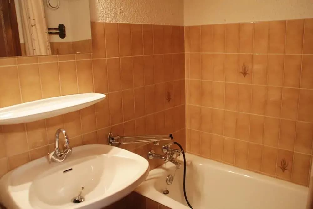 Apartment in Chatel Near Lac de Vonnes - Miniature 7