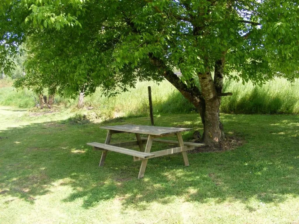 Gite du Moulin - Photo 3
