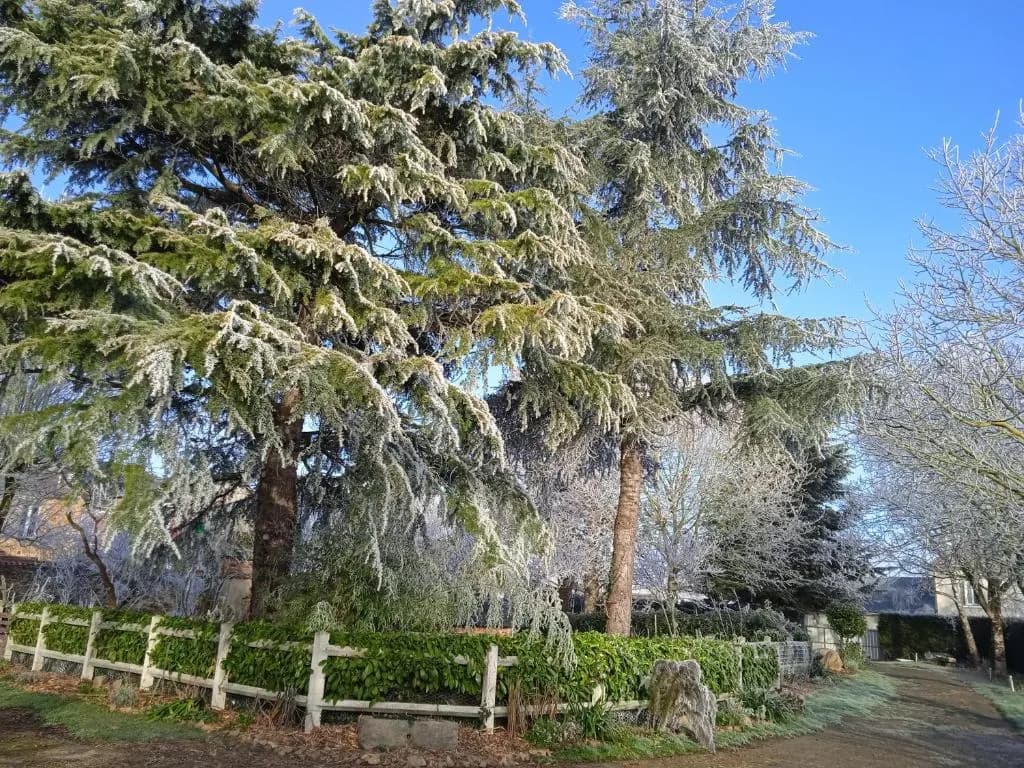 Les Cles du Parc (Adults Only) - Miniature 8