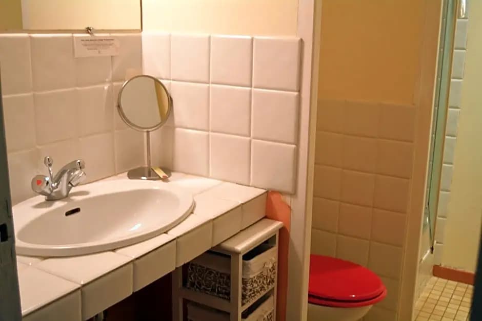 Logis Auberge La Solognote - Miniature 8
