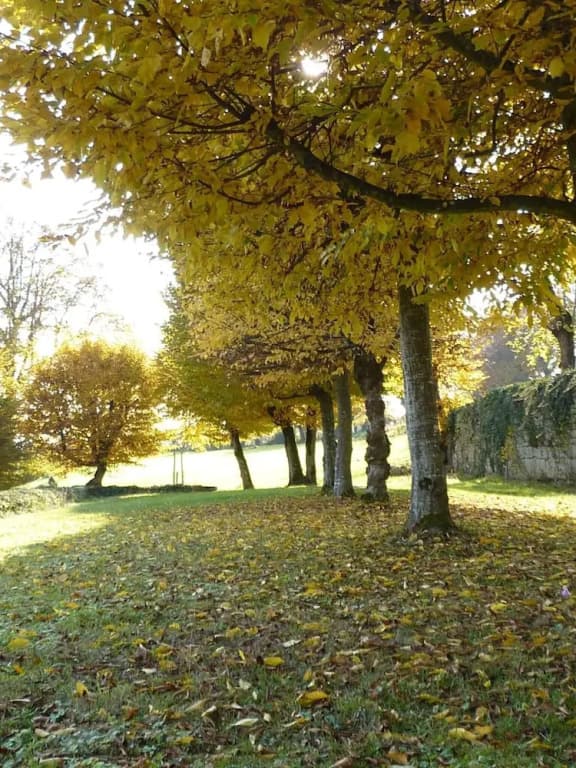 Château de la Hussardière - Miniature 6