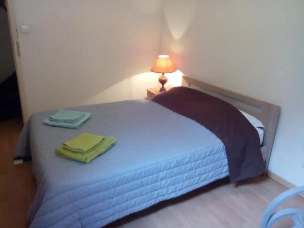 appartement T2 de 48 M² centre ville - Photo 3