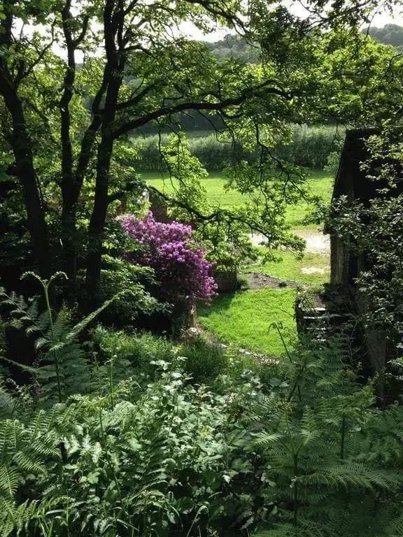 The Old Farmhouse - Photo 4