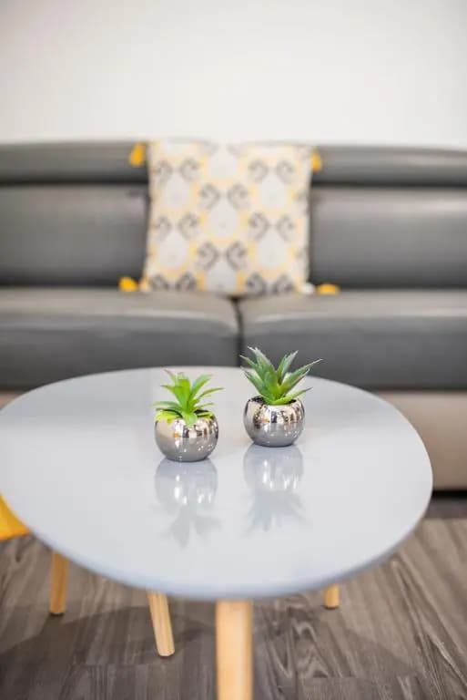 Appartement ensoleillé Lyon - Miniature 7