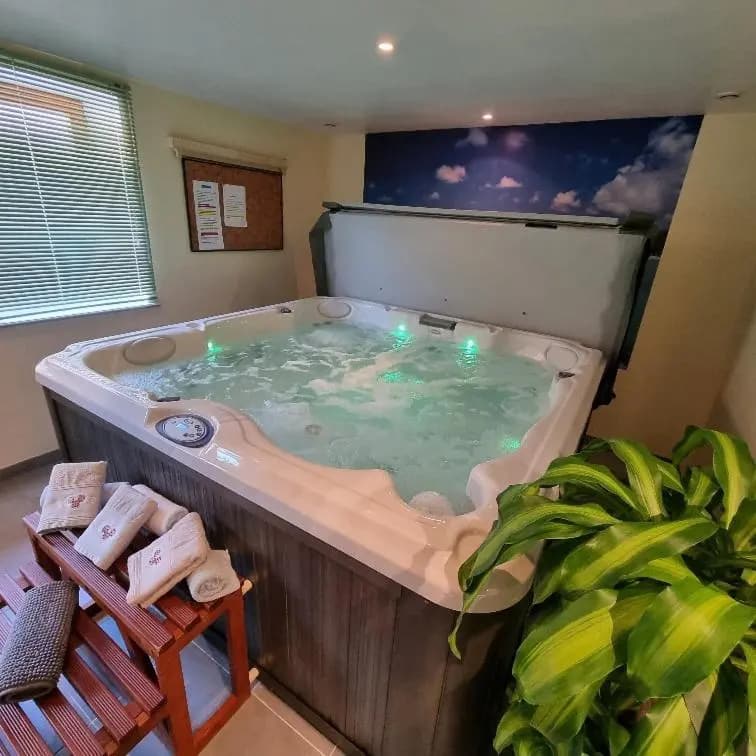 Gite Jonquille 2 à 8 personnes avec SPA - Photo 4