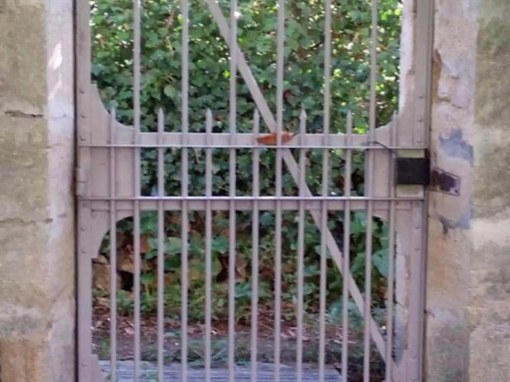 Villa Des Figuiers - Photo 1