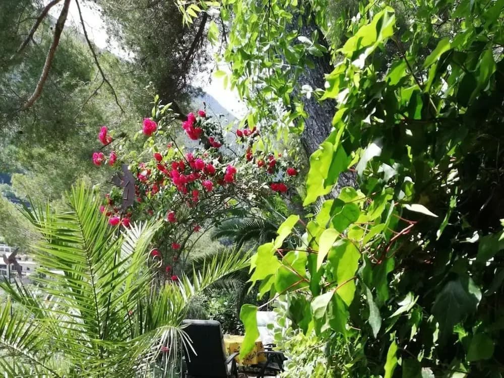 Tuinappartement - Castel D'incze - Photo 4
