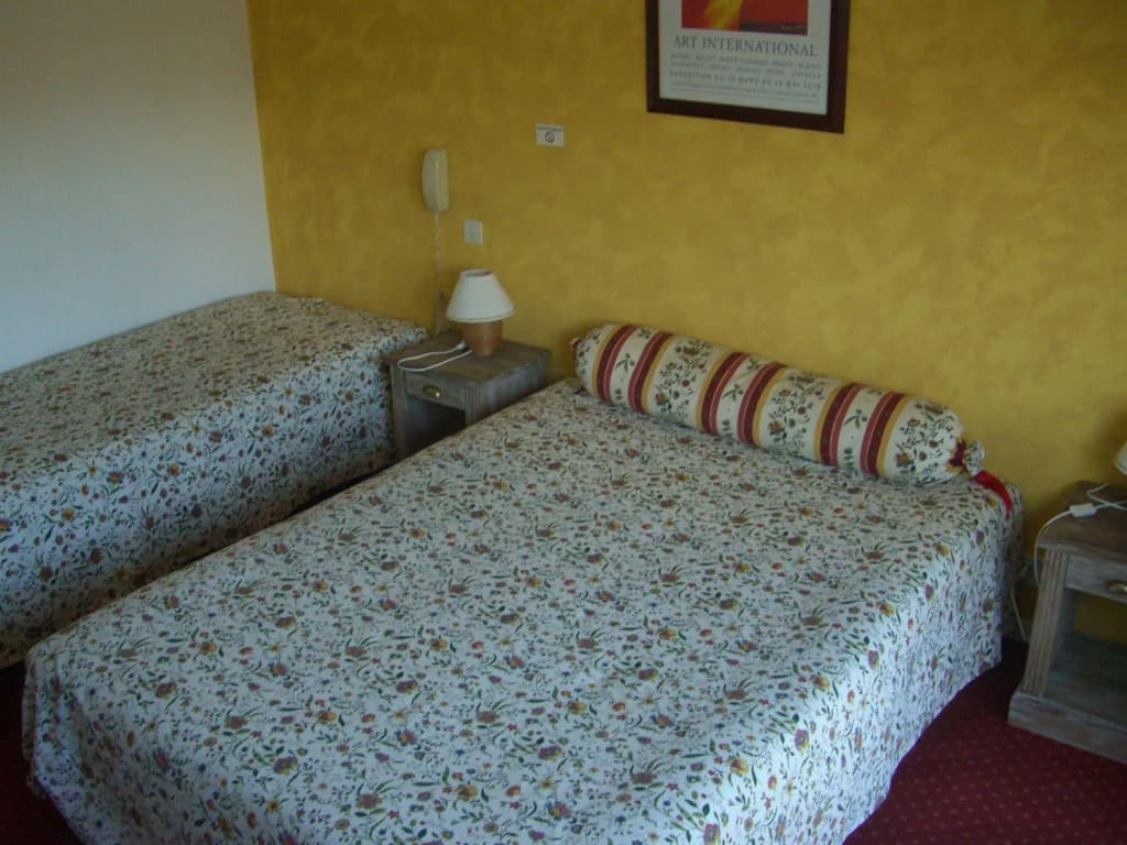 Hôtel du Midi - Photo 3