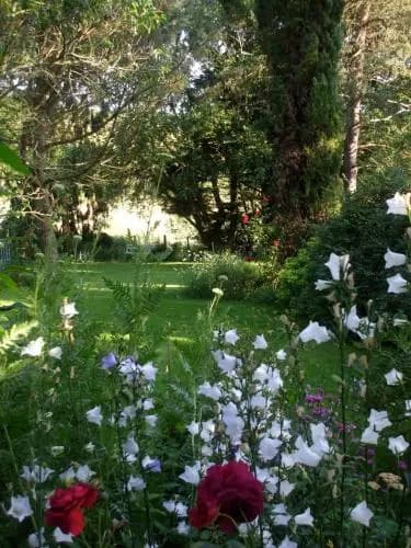 Jardin la Bourdonnière - Miniature 7