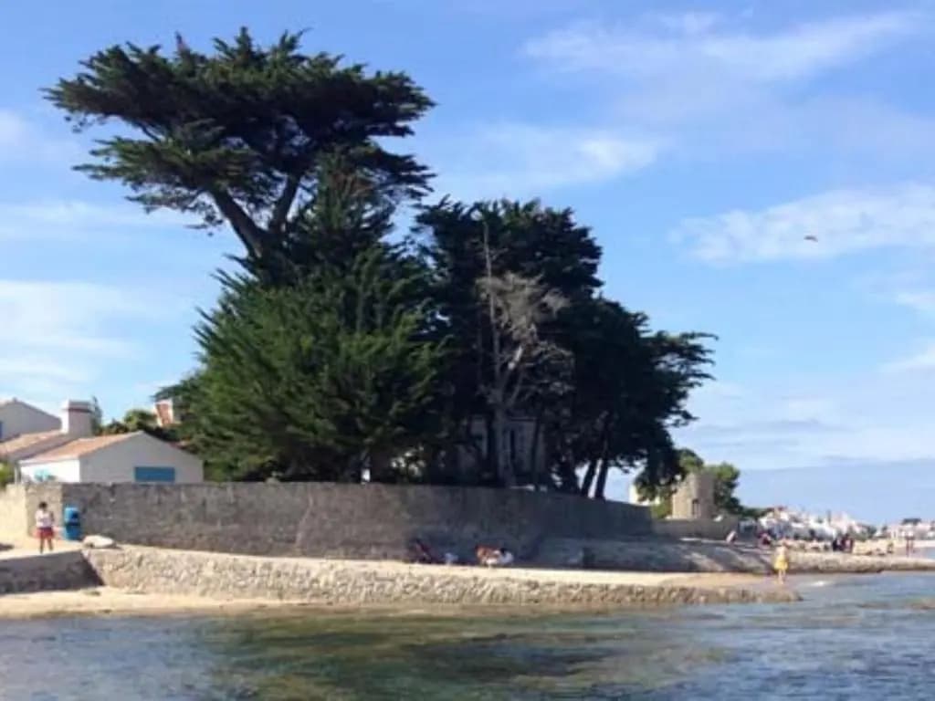 Maison Noirmoutier-en-l'Île, 3 pièces, 4 personnes - FR-1-224B-158 - Miniature 8