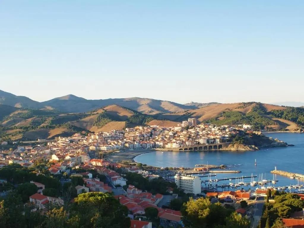 Appartement Banyuls-sur-Mer, 2 pièces, 4 personnes - FR-1-225C-320 - Miniature 6