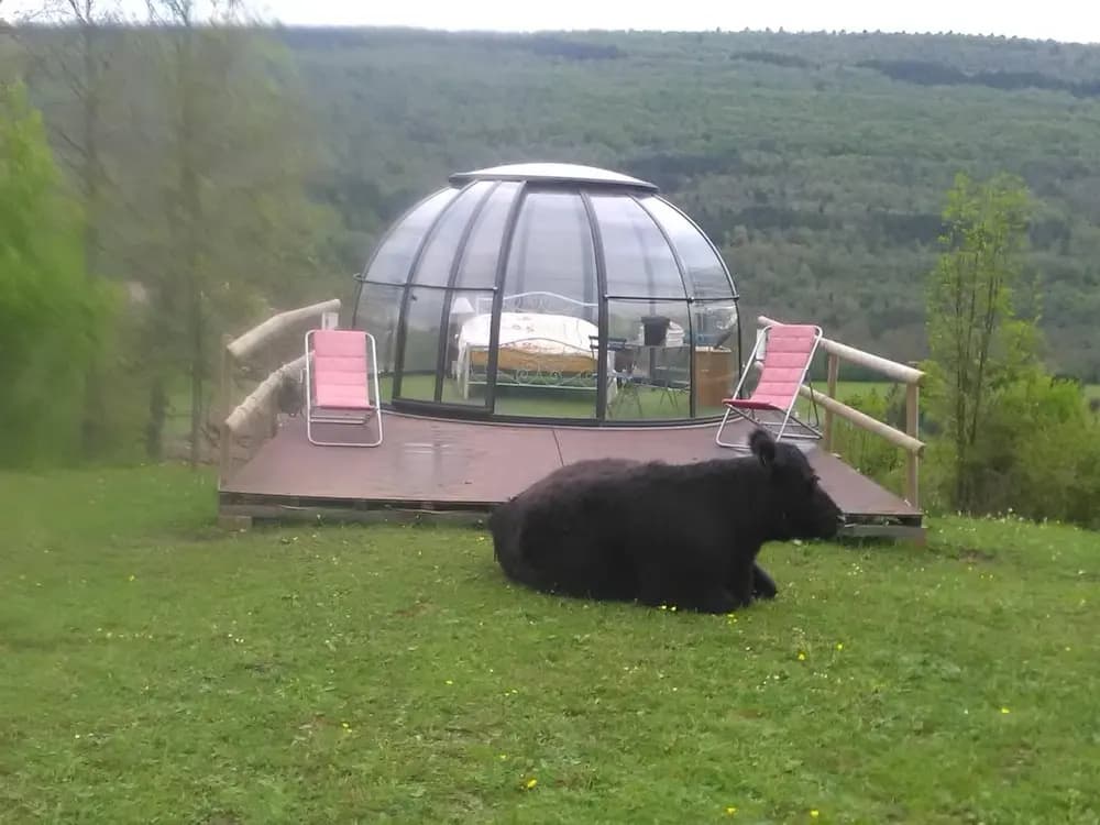 Ferme des Baillards - Photo 4