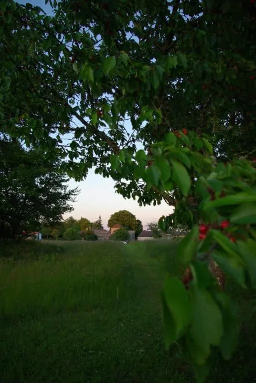 Domaine de Bel Air Carpe Diem - Photo 2