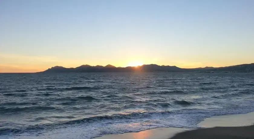 Cannes Sun - Miniature 7