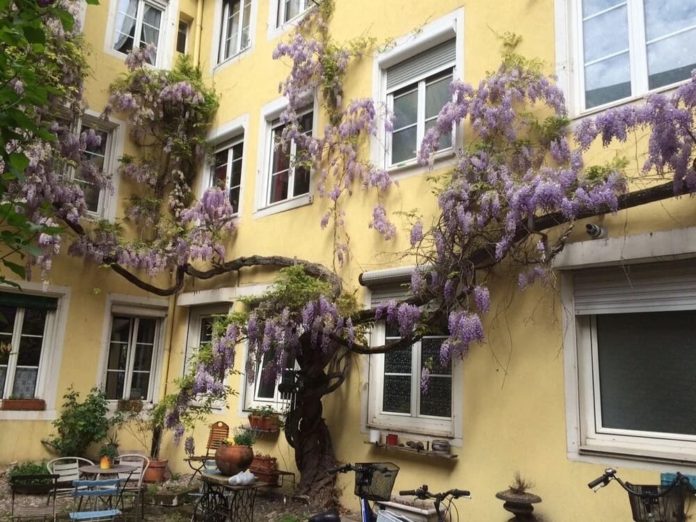 Appartements Sur les quais - Photo 1