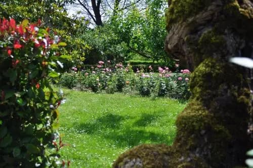 Domaine De Belcayre - Miniature 8