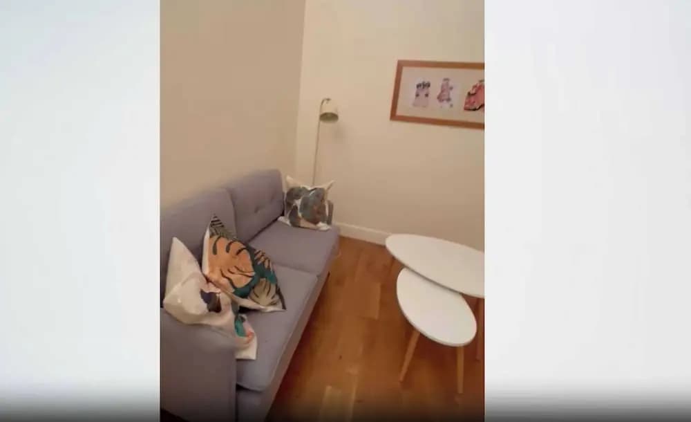 1bdr/2p Apt - Near Monceau et Arc de Triomphe - Photo 1