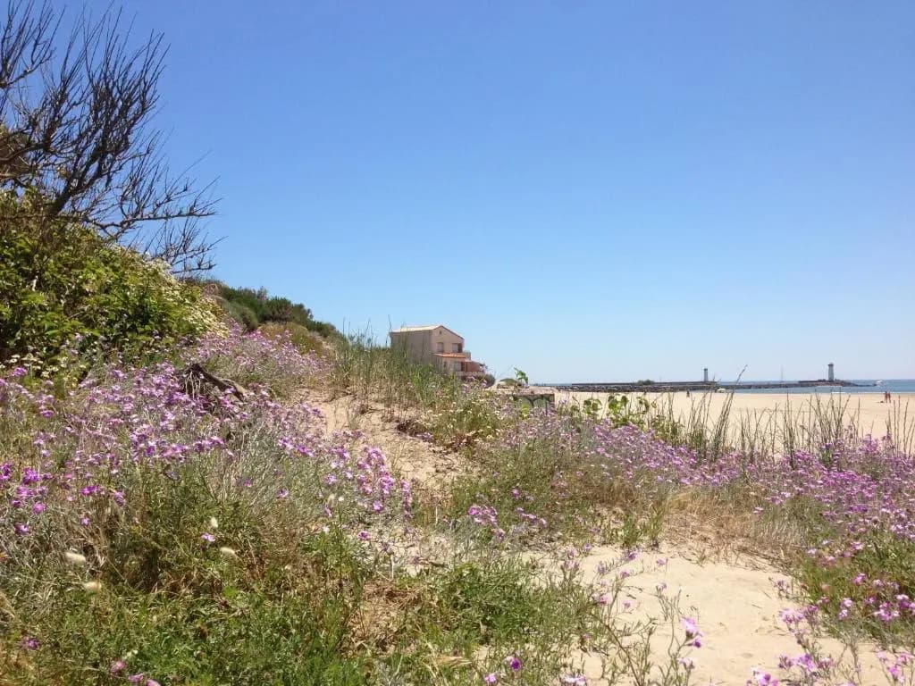 Vias Plage - Maison de vacances - Photo 2