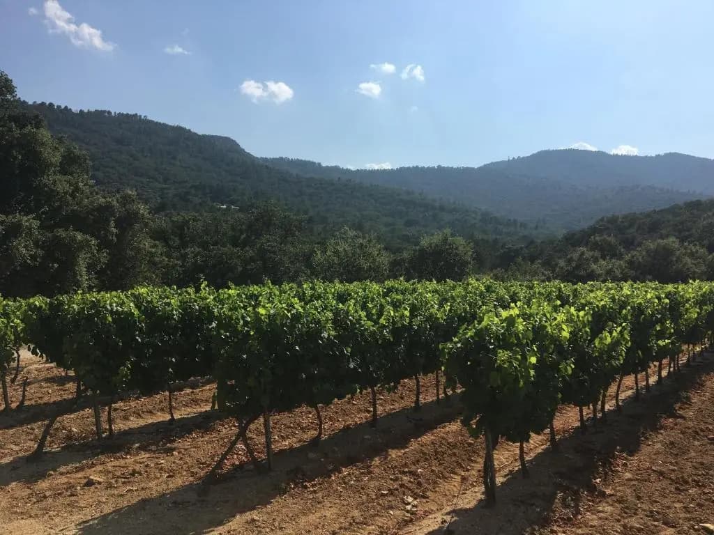 La Bastide - Photo 4