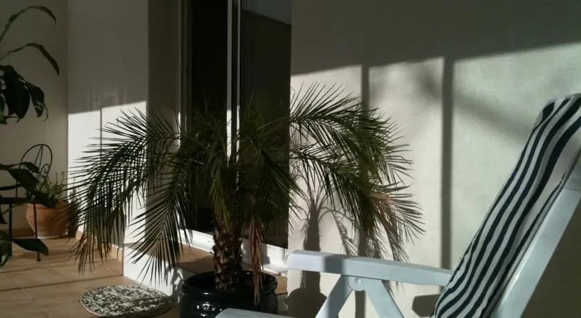 Home Suite Avenue - Photo 4