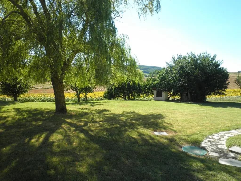 Domaine de la Vigne - Miniature 6