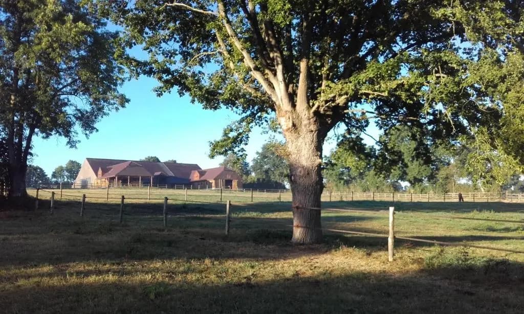Les Gites Haras Del Paradiso - Miniature 8