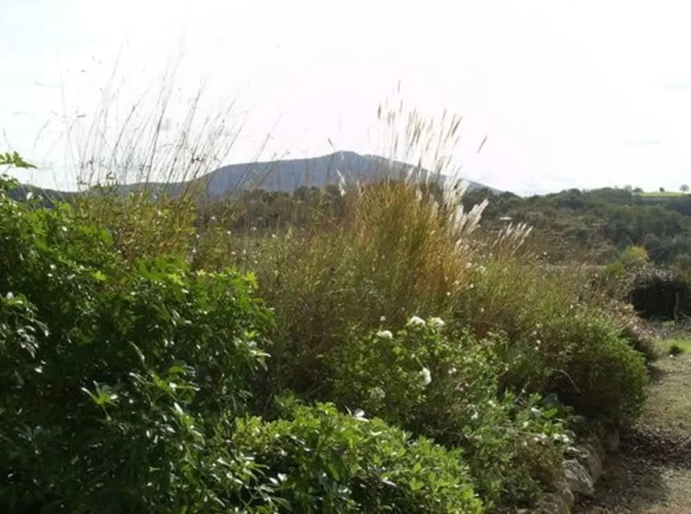 Maison Anderetea - Photo 4