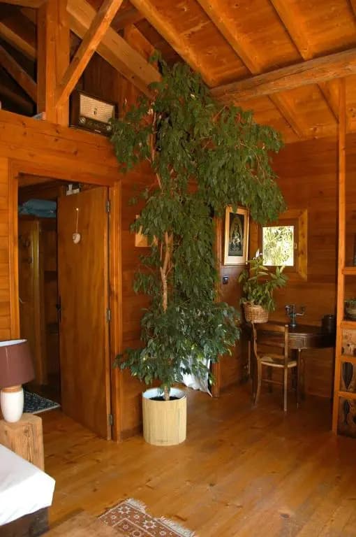 Chalet de la Fressine - Photo 1