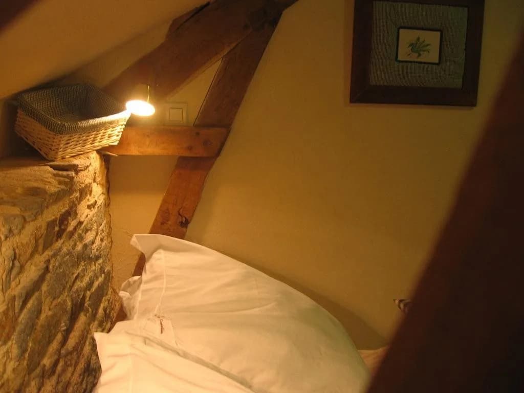 Chambres d'hôtes - Au Domaine des Camélias - Photo 3