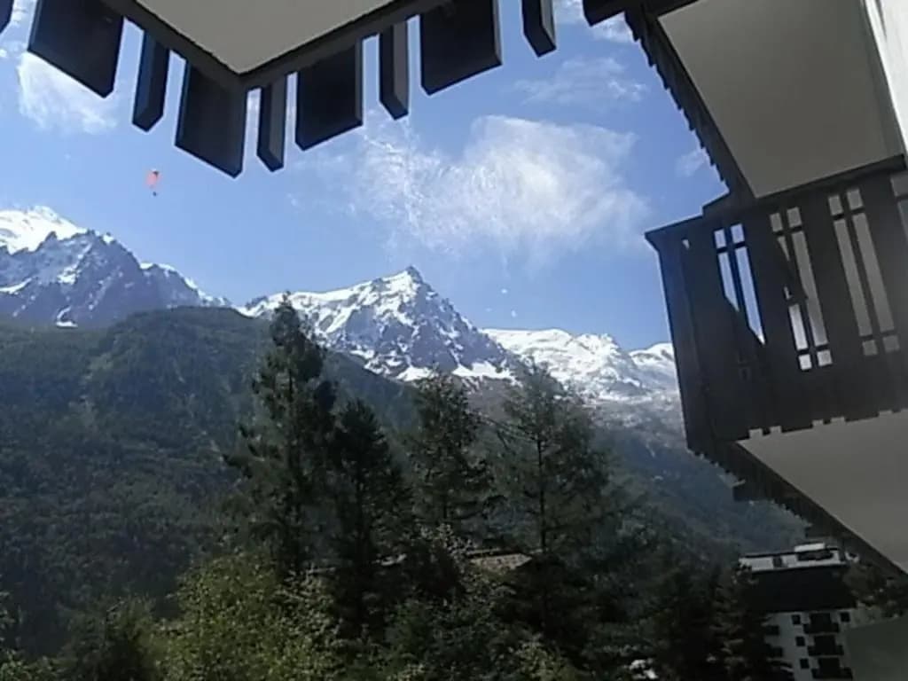 Appartement Chamonix-Mont-Blanc, 1 pièce, 3 personnes - FR-1-517-27 - Miniature 8