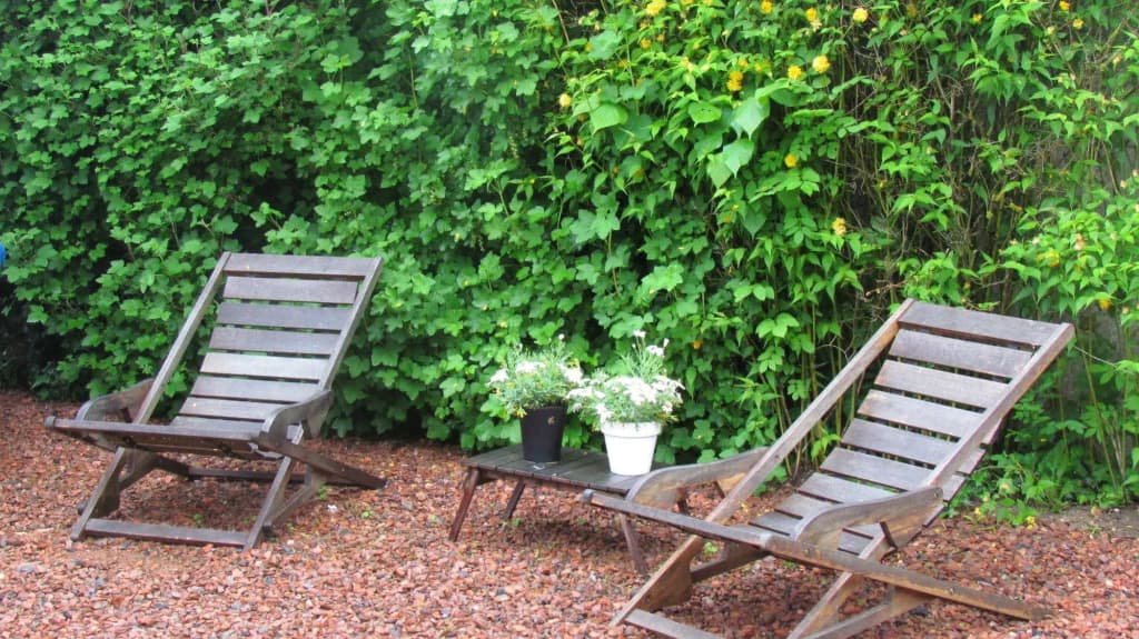 Gîte Le Jardin - Miniature 8