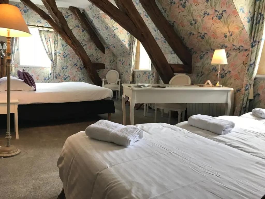 Château De Puy Robert - Photo 4