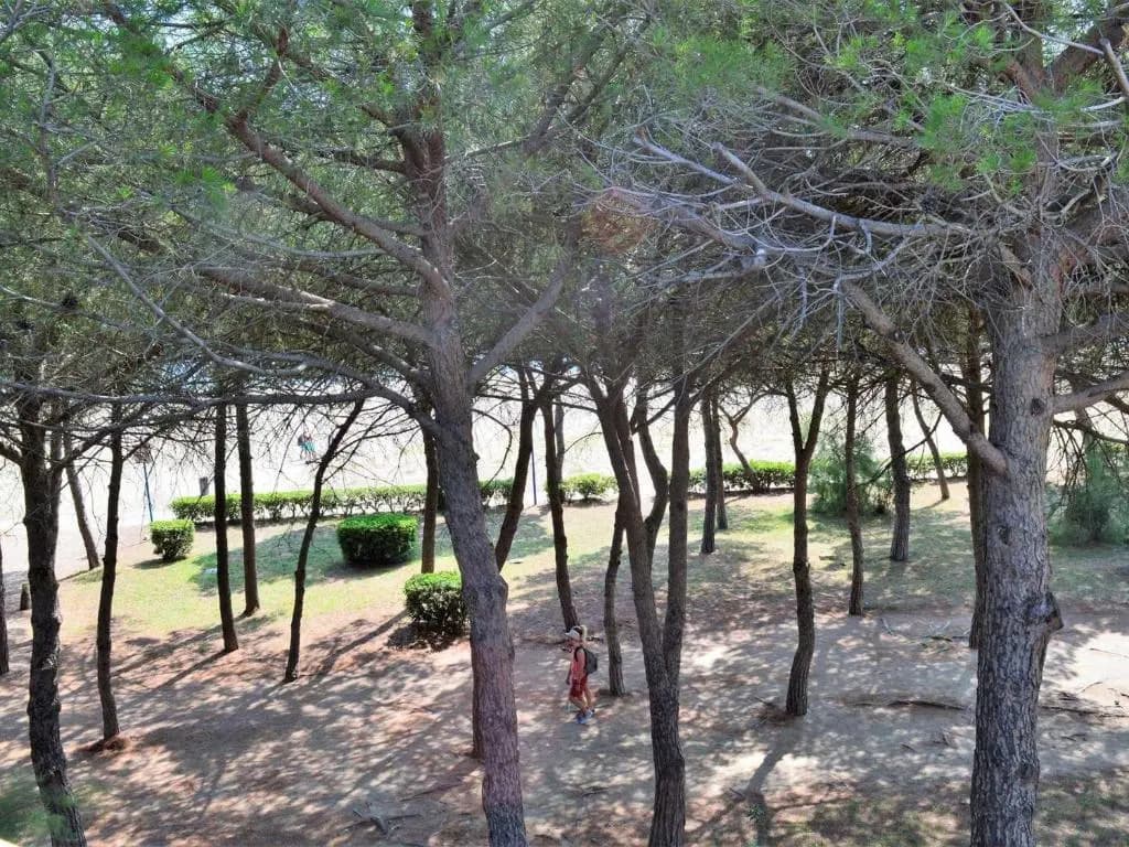 Appartement Argelès-sur-Mer, 2 pièces, 4 personnes - FR-1-225-667 - Miniature 8